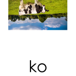 Läskort – Bondgårdsdjur - bild 3