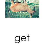 Läskort – Bondgårdsdjur - bild 4