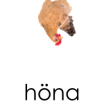 Läskort – Bondgårdsdjur - bild 5