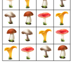 Sudoku höst 4×4 - bild 5