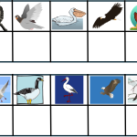 Para ihop fåglar - bild 4