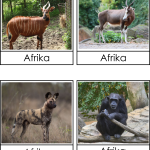 Afrikas djur 3 del - bild 5