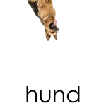 Läskort – Husdjur - bild 3