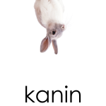 Läskort – Husdjur - bild 4