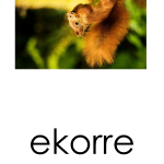 Läskort – Skogsdjur - bild 5