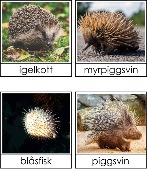 Taggiga djur