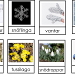 Sortera årstider - bild 6