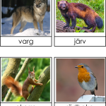 Europas djur 3 del - bild 2