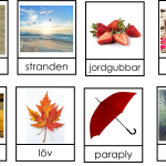 Sortera årstider - bild 7