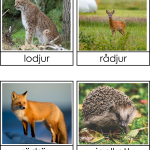 Europas djur 3 del - bild 3