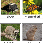 Nordamerikas djur 3 del - bild 3