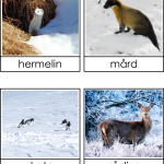 Vad gör djuren på vintern? - bild 3