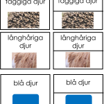 Sorteringskort till sortera djur materialen - bild 2