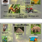 Berättelsekort blandat 8 st - bild 4