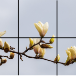 Pussel vår 6 bitar - bild 7