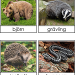 Vad gör djuren på vintern? - bild 4