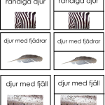 Sorteringskort till sortera djur materialen - bild 3