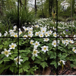 Pussel vår 6 bitar - bild 3