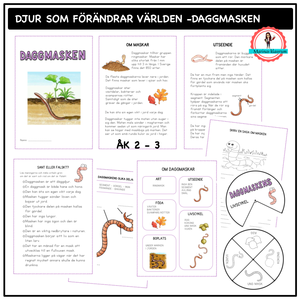 Om daggmasken – åk 2-3 – djur som förändrar världen