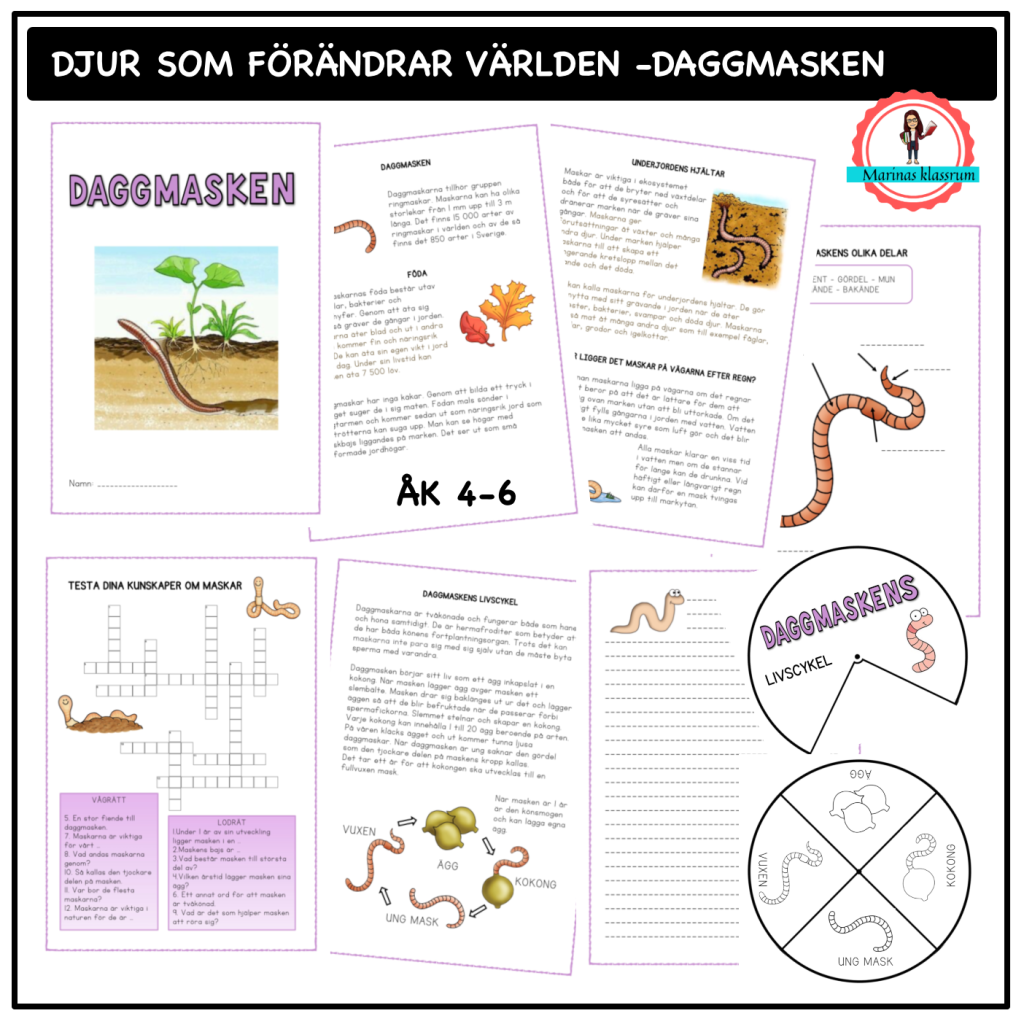 Om daggmasken – åk 4-6 – djur som förändrar världen