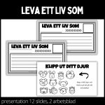 Pest eller kolera – leva ett liv som… – presentation och arbetsblad - bild 2