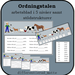 Arbetsblad ordningstal - 5 nivåer