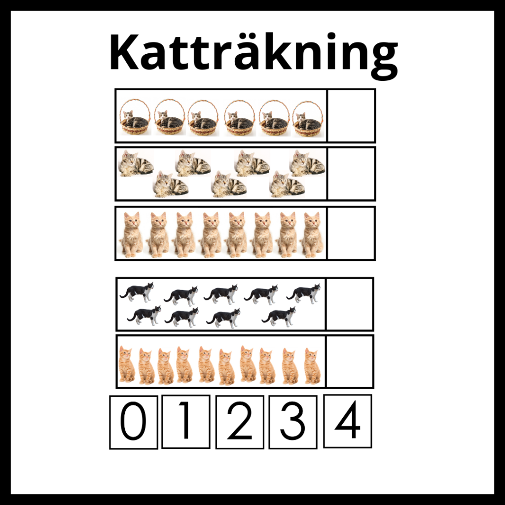 Katträkning