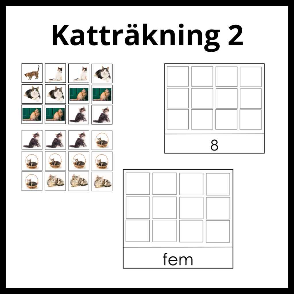 Katträkning 2