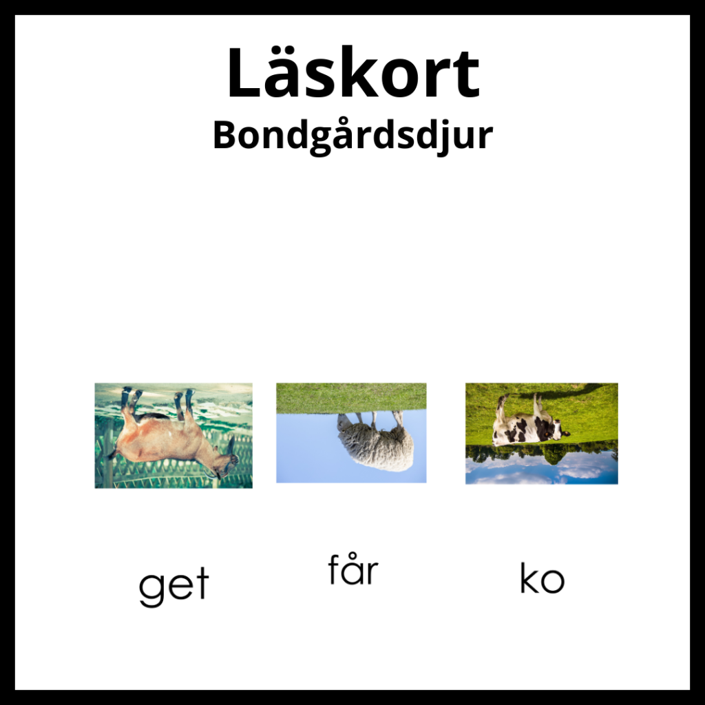 Läskort – Bondgårdsdjur