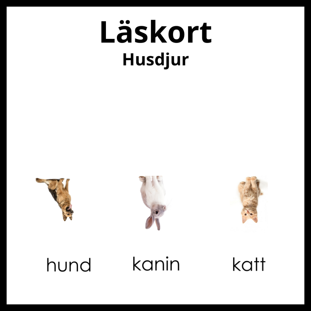Läskort – Husdjur