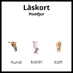 Läskort – Husdjur - bild 1
