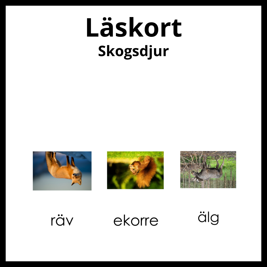 Läskort - Skogsdjur