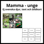 Mamma – unge ej svenska djur, bild och textkort - bild 1