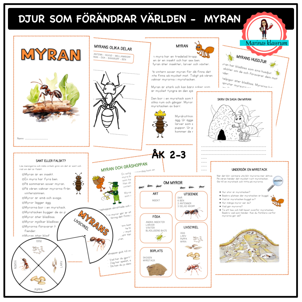 Om myran – åk 2-3 – djur som förändrar världen