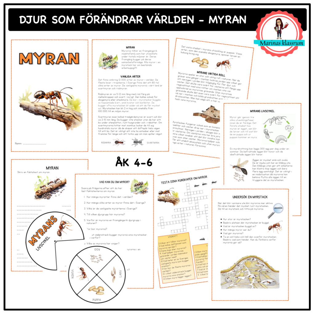 Om myran – åk 4-6 – djur som förändrar världen