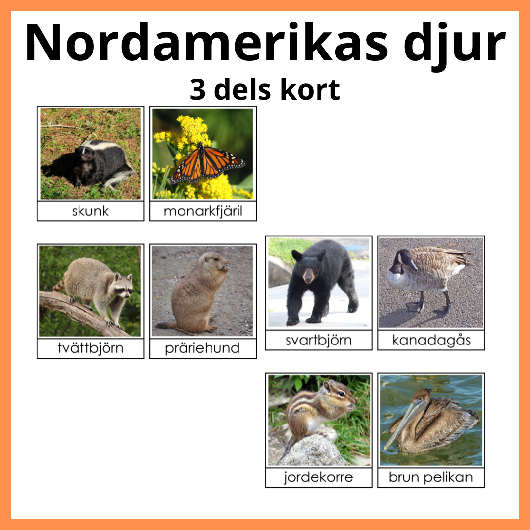 Nordamerikas djur 3 del