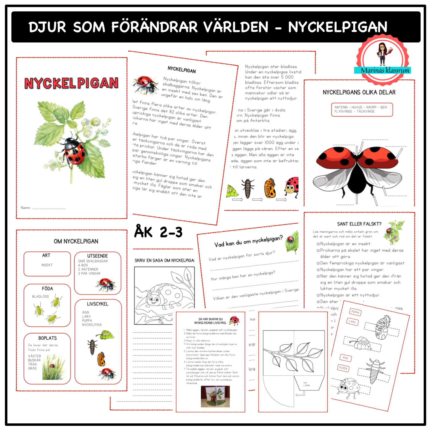 Om nyckelpigan - åk 2-3 - djur som förändrar världen