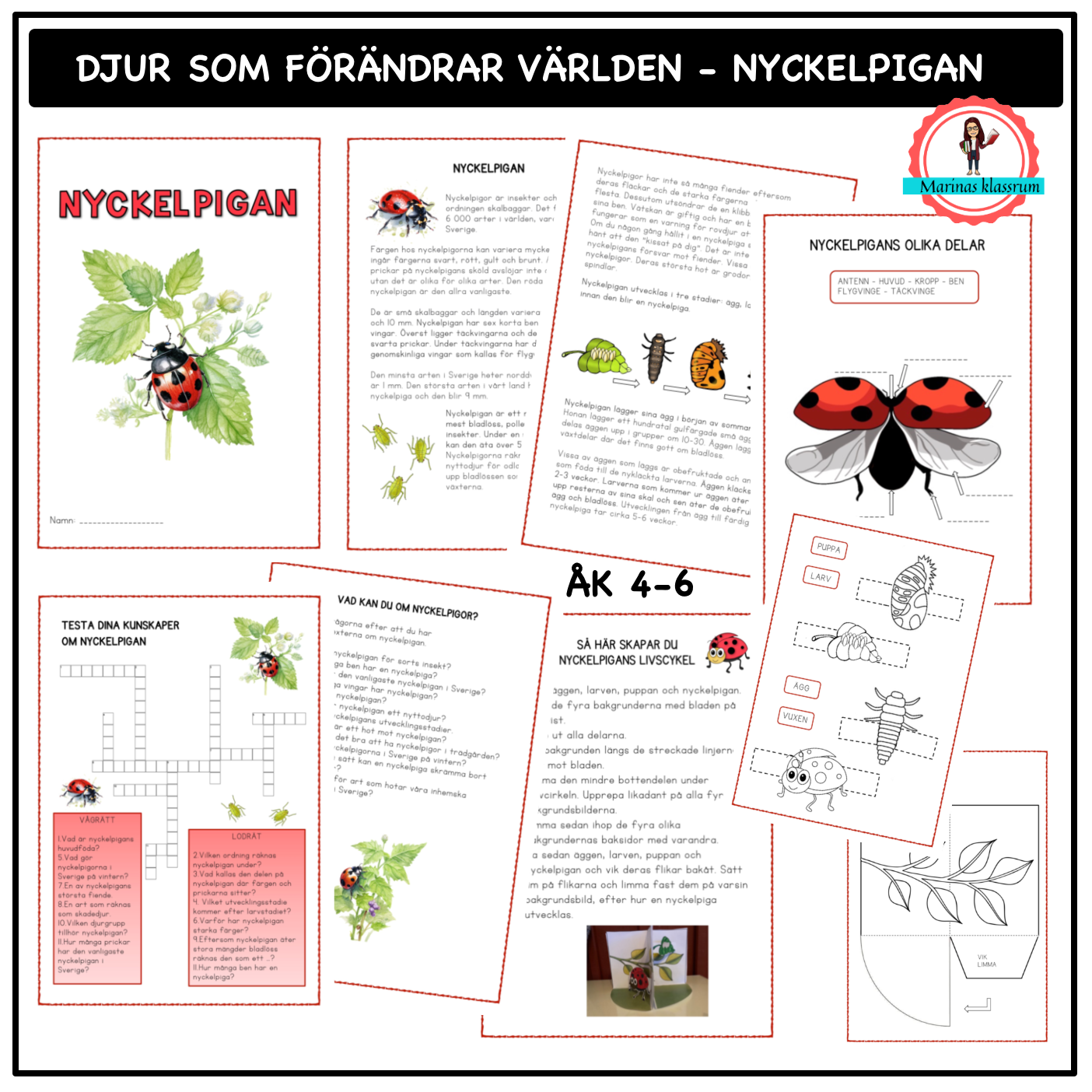Om nyckelpigan - åk 4-6 - djur som förändrar världen
