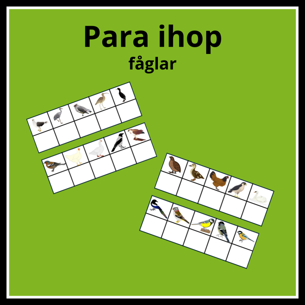 Para ihop fåglar