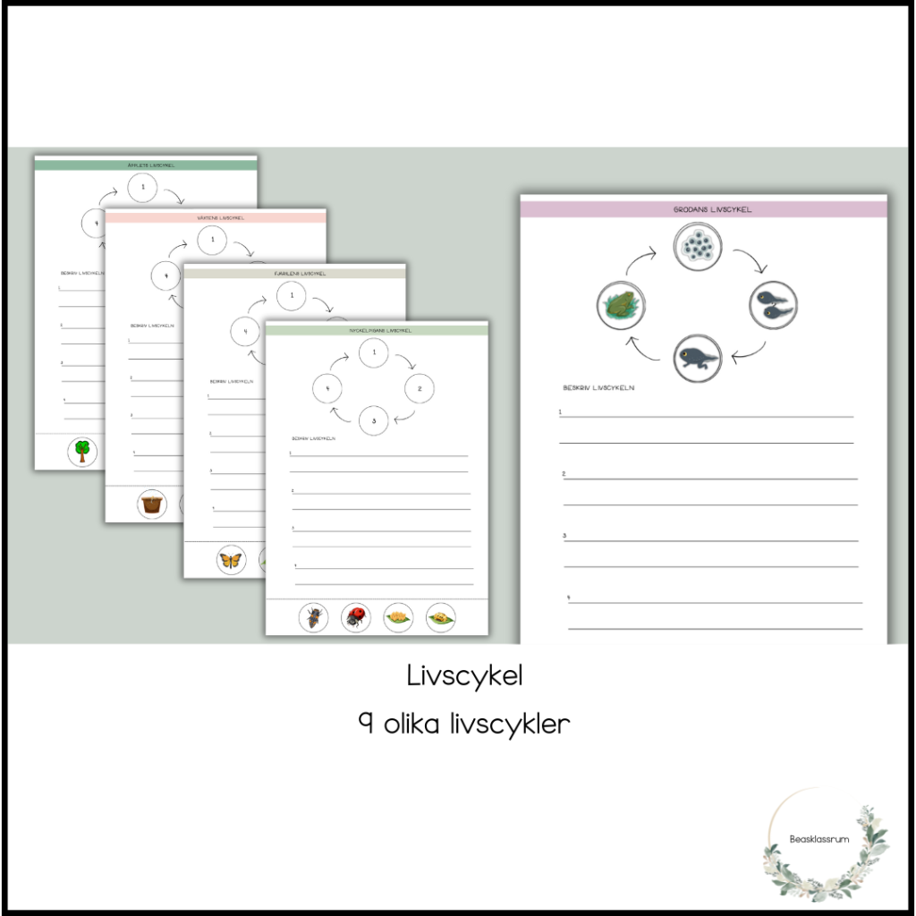 Livscykler – 9 stycken
