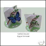 Fjärilens livscykel i 3D - bild 1