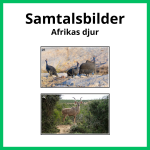 Samtalsbilder Afrikas djur - bild 1