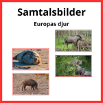 Samtalsbilder Europas djur - bild 1
