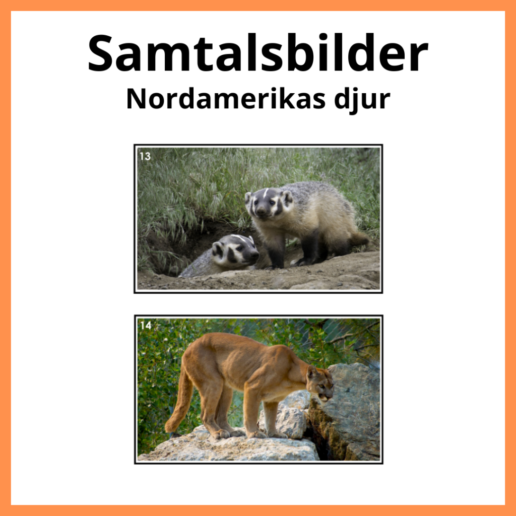 Samtalsbilder Nordamerikas djur