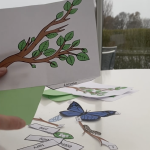 Fjärilens livscykel i 3D - bild 2