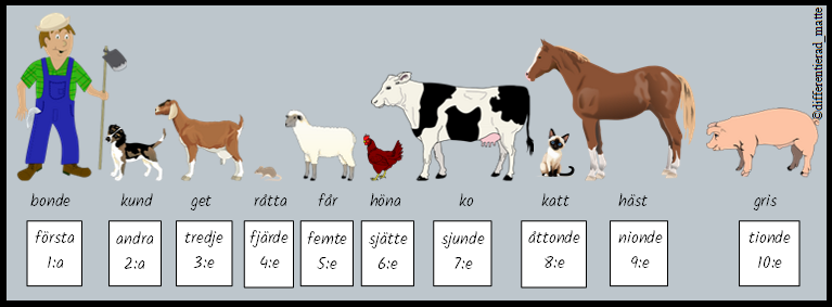 Arbetsblad ordningstal - 5 nivåer