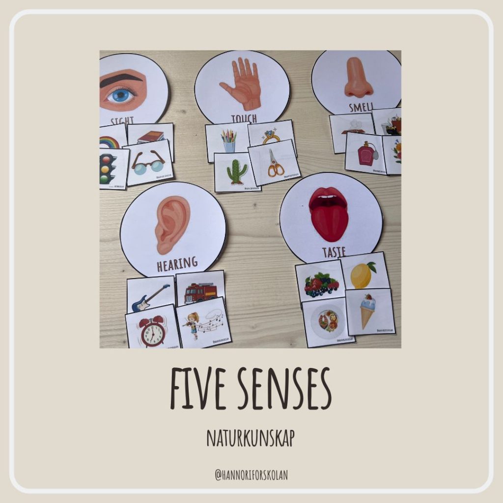 Five senses
