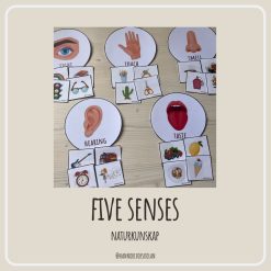 Five senses