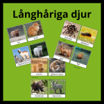 Långhåriga djur - bild 1