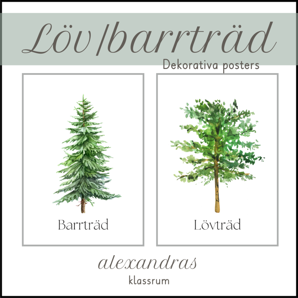 Löv- och barrträd: Poster